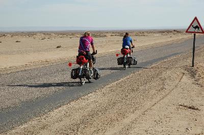 Chott El Rahim, ligne droite sur 40 km, aucun dénivelé, aucun virage, mais attention aux dromadaires !