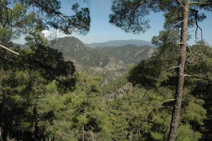 Troodos