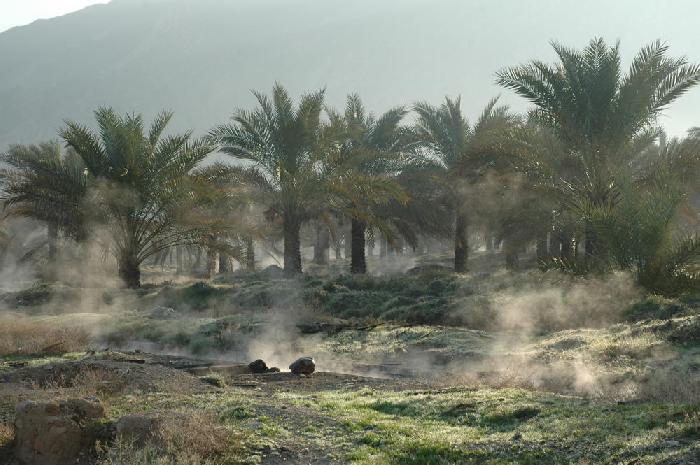 Irrigation de palmeraies