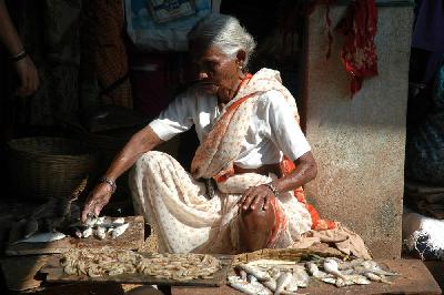 The Market in Sheruda