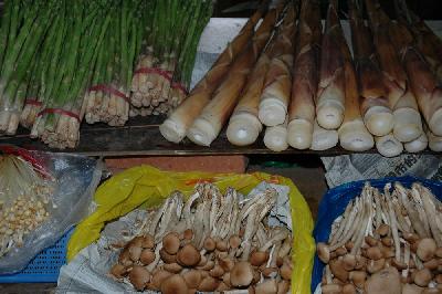 Bamboo shoots and mushrooms