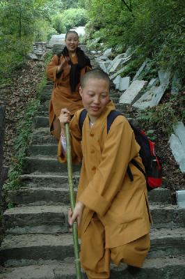 Nuns on a pilgrimage