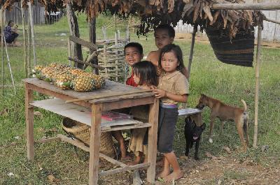 Vente de fruits le long des pistes