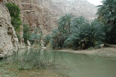 Wadi Shab, petit coin de fraîcheur