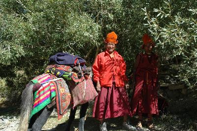 Lamas allant au monastère de Phugtal