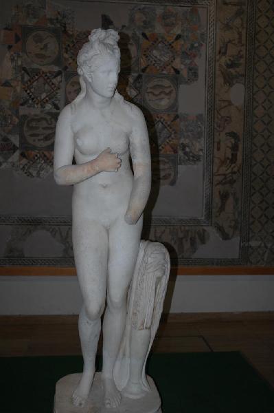 Vnus romaine au muse de Tripoli