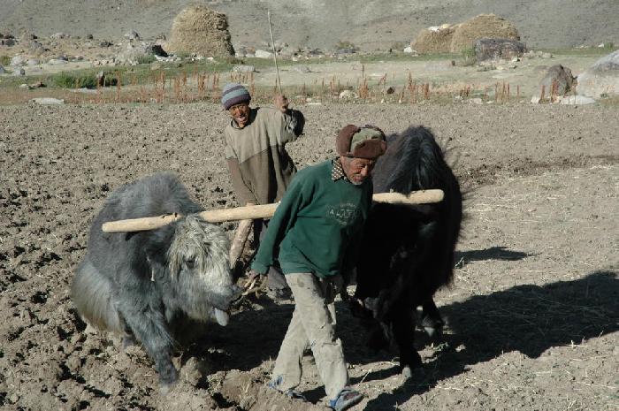 Village de Raru, Zanskar