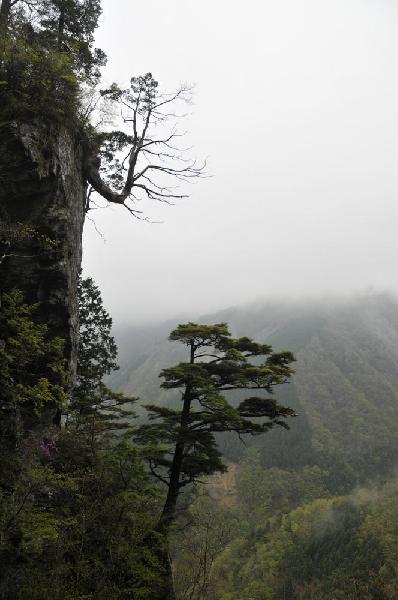 Valle du Shikoku